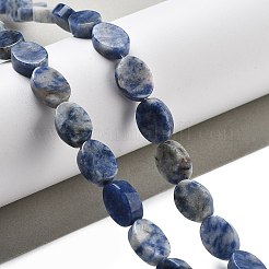 天然ブルースポットジャスパービーズ連売り  オーバル  14x10x5mm  穴：0.5mm  約28個/連  15.55''（39.5センチメートル）&nbsp;G-P559-B26-01