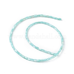 天然淡水貝殻染めビーズ連売り  コラム  淡いターコイズ  4.8x3mm  穴：0.8mm  約78個/連  14.96''（38センチメートル）&nbsp;SHEL-M018-12-06