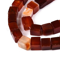 Natural Red Agate(Dyed & Heated) Beads Strands&nbsp;G-T139-8x8-35A