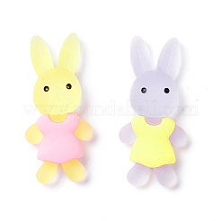 Translucent Resin Cabochons&nbsp;CRES-K008-02