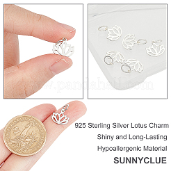 5Pcs 925 Sterling Silver Charms&nbsp;STER-SC0001-15