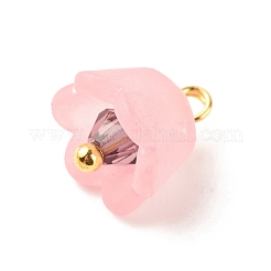 Transparent Acrylic Charms&nbsp;PALLOY-JF01603-02
