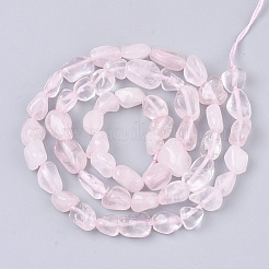 Natural Rose Quartz Beads Strands&nbsp;G-S363-059