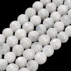 Natural Rainbow Moonstone Beads Strands&nbsp;G-C280-B15-8mm