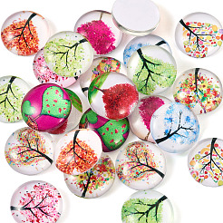 24Pcs 12 Style Glass Cabochon&nbsp;GLAA-TA0001-71