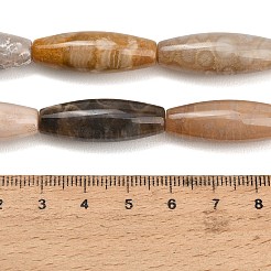 天然化石サンゴのビーズ連売り  バレルビーズ  29~30x10mm  穴：1.4mm  約13個/連  15.35''（39センチメートル）&nbsp;GG-CBA362F-03