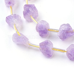Natural Amethyst Beads Strands&nbsp;G-I250-03B