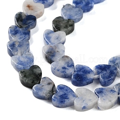 Natural Blue Spot Jasper Beads Strands&nbsp;G-M403-A21-02