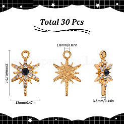 30Pcs Alloy Rhinestone Pendant&nbsp;FIND-SC0011-05
