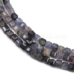 天然のアイオライトビーズ連売り  多面カット  キューブ  3~3.5x3~3.5x3mm  穴：0.7mm  約124~129個/連  15~15.0''（38.1~38.3センチメートル）&nbsp;LS-G-RM2025-C33-B