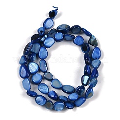 Natural Freshwater Shell Dyed Beads Strands&nbsp;SHEL-K009-14