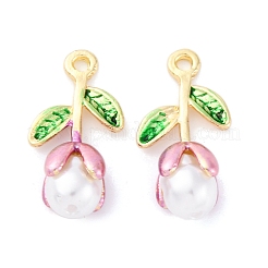 Alloy Enamel Pendants&nbsp;FIND-M060-22G