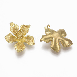 真鍮チャーム  ニッケルフリー  花  生（メッキなし）  20x17x6mm  穴：2mm&nbsp;KK-T040-156-NF