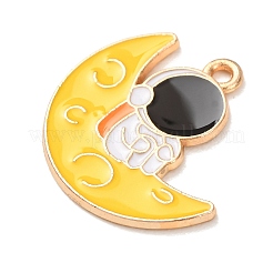 Alloy with Enamel Pendants&nbsp;AL-CBA9CD2-01F