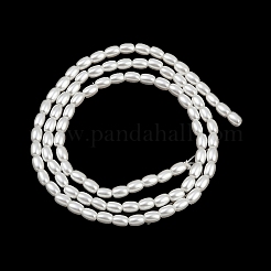 Electroplated Shell Pearl Beads Strands&nbsp;BSHE-H113-06B-06
