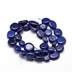 Natural Lapis Lazuli Gemstone Nuggets Bead Strands&nbsp;G-J336-31