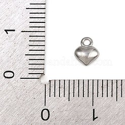 304 Stainless Steel Charms&nbsp;STAS-C140-01E-P