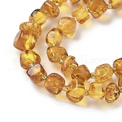 Natural Amber Beads Strands&nbsp;G-L095-E01-07
