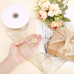 Polyester Ribbon&nbsp;OCOR-WH0082-464