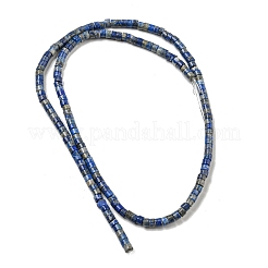 Natural Lapis Lazuli Beads Strands&nbsp;G-C084-D12-02