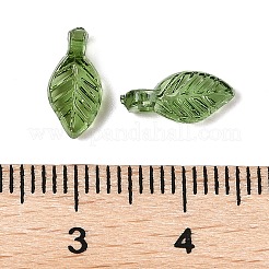 Transparent Acrylic Charms&nbsp;TACR-F009-11D