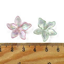 Transparent Acrylic Bead Caps&nbsp;OACR-O006-05