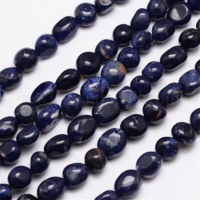 Natural Sodalite Bead Strands&nbsp;G-L459-28-1