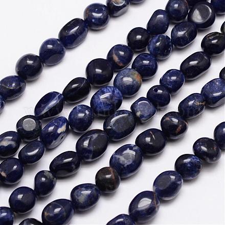Natural Sodalite Bead Strands&nbsp;G-L459-28-1