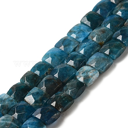 Natural Apatite Beads Strands G-C109-A13-02-1