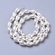 Polished Shell Pearl Beads Strands&nbsp;X-BSHE-L042-A02-3