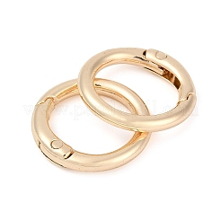 Alloy Spring Gate Clasps&nbsp;X-FIND-H012-05KCG