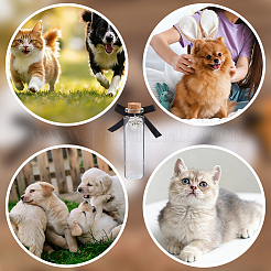4Pcs Glass Cork Wishing Bottles&nbsp;AJEW-DR00050