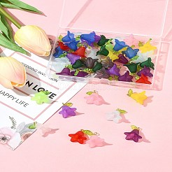 50Pcs Transparent Acrylic Pendants&nbsp;PALLOY-FS00043-05