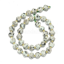 Natural Sesame Jasper Beads Strands&nbsp;G-I376-A52-01