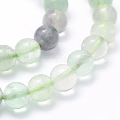 Natural Fluorite Beads Strands&nbsp;G-P335-19-8mm