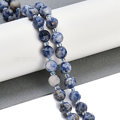 Natural Blue Spot Jasper Beads Strands&nbsp;G-G182-B31-03