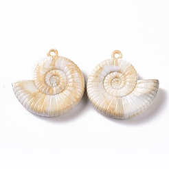 Acrylic Pendants&nbsp;OACR-C011-27