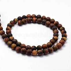 Frosted Natural Tiger Eye Beads Strands&nbsp;G-F364-18-6mm