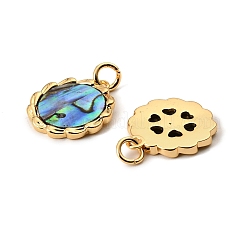 天然パウア貝の花のペンダント  真鍮のセッティングと丸カン付き  18KGP本金メッキ  17.5x15x2mm  穴：3mm&nbsp;KK-G538-36G