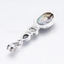 Abalone Shell/Paua Shell Pendants&nbsp;X-SSHEL-P014-19