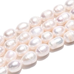 Natural Cultured Freshwater Pearl Beads Strands&nbsp;PEAR-T006-03