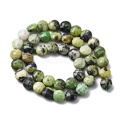 Natural Serpentine Beads Strands&nbsp;G-C179-A48-03