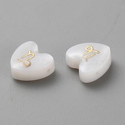 ナチュラルホワイトシェルビーズ5個。  星座模様のハート  山羊座  8~10x8~10x4.5mm  穴：0.6~0.8mm&nbsp;BSHE-TAC0004-02L