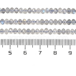 Natural Labradorite Beads Strands&nbsp;G-K366-A01-01