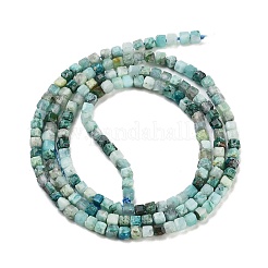 Natural Chrysocolla Beads Strands&nbsp;G-H042-B29-01