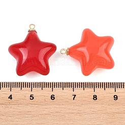 Acrylic Pendants&nbsp;FIND-E054-03