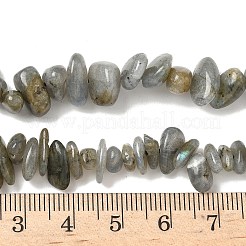 天然石ラブラドライトビーズ連売り  チップ  4~12x3~8x1~6mm  穴：1mm  約14.9インチ〜16.1インチ（38~41cm）&nbsp;X-G-I225-15A