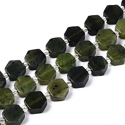 Natural Canadian Jade Beads Strands&nbsp;G-P534-A18-02