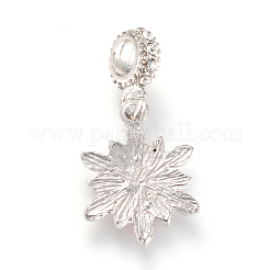 Alloy European Dangle Charms&nbsp;MPDL-S054-M