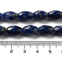 Natural Sodalite Beads Strands&nbsp;G-P520-C07-01